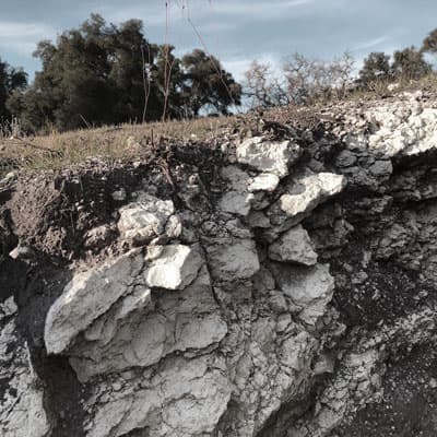パソ・ロブレスの石灰質土壌