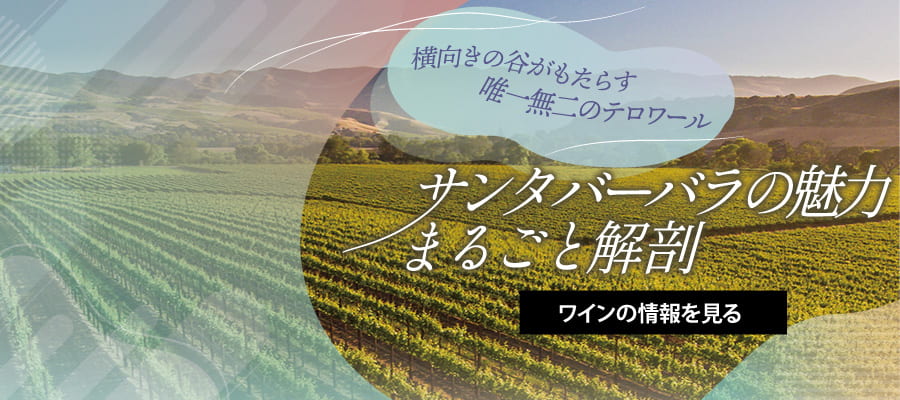 横向きの谷がもたらす唯一無二のテロワール『サンタバーバラの魅力まるごと解剖』