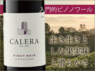 生き生きとした果実味と滑らかさのあるカレラの入門的ピノノワール