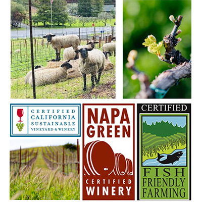 ロンバウアーのサスティナブルへの取り組み