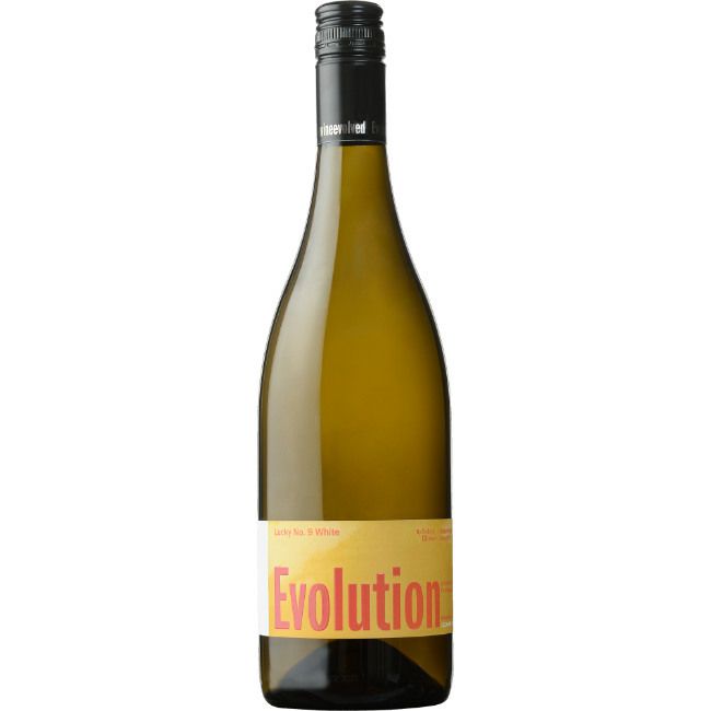 ソーコル ブロッサー エヴォリューション ラッキー No.9 [2023]