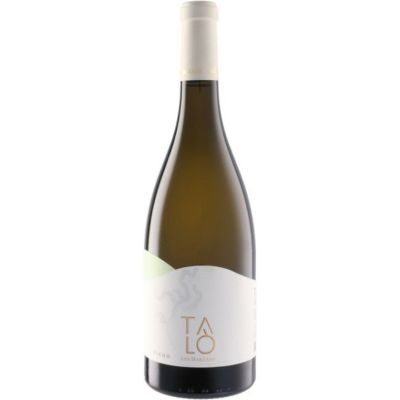 サン マルツァーノ タロ フィアーノ [2024]