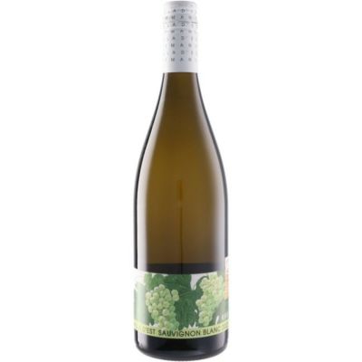 株式会社ヴィラデストワイナリー ソーヴィニヨン ブラン [2022]