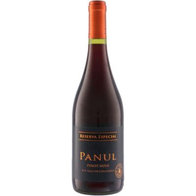 ビーニャ マルチグエ パヌール ピノ ノワール レセルバ エスペシャル [2024]