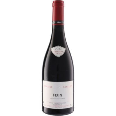 ドメーヌ コワイヨ フィサン [2023]