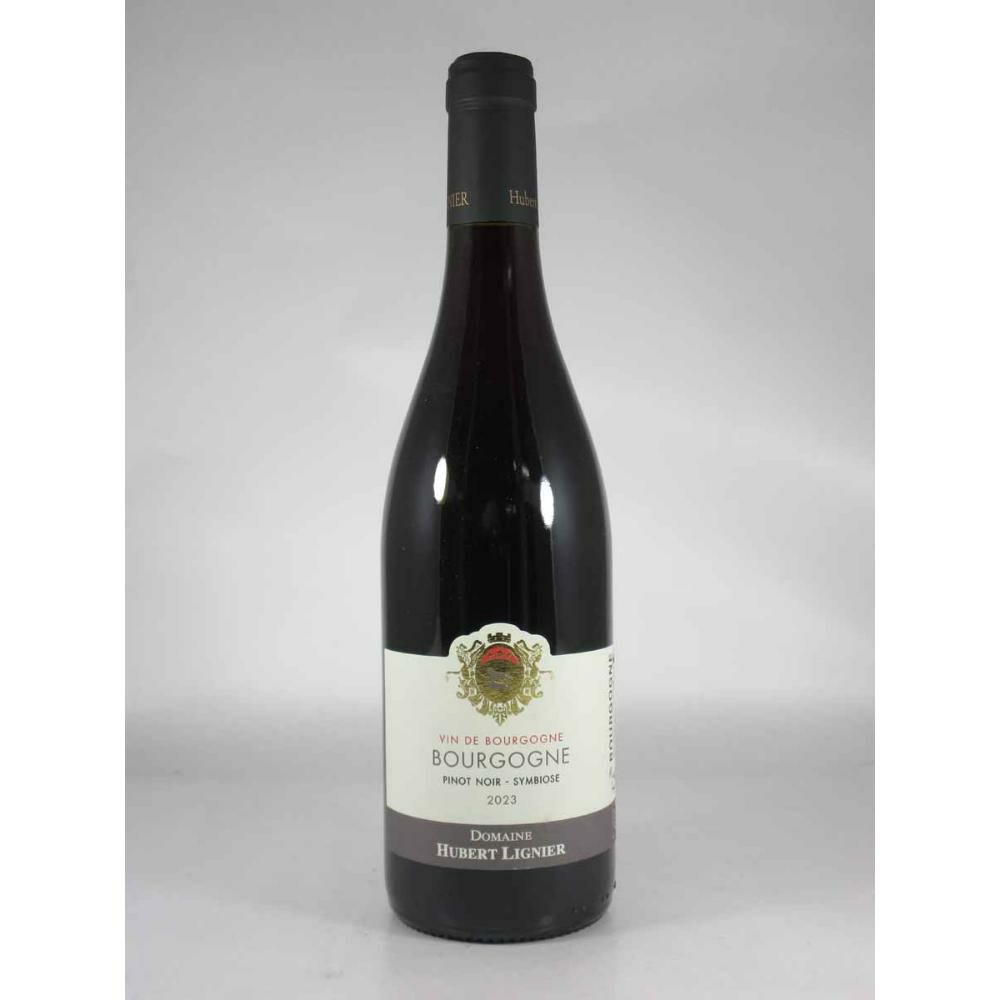 ユベール リニエ ブルゴーニュ ルージュ  サンビオーズ [2023]