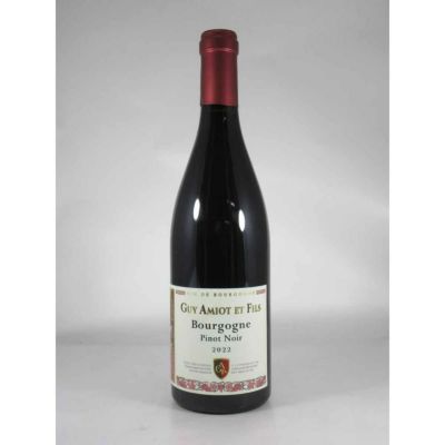 アミオ ギイ エ フィス ブルゴーニュ ピノ ノワール  キュヴェ シモーヌ [2022]