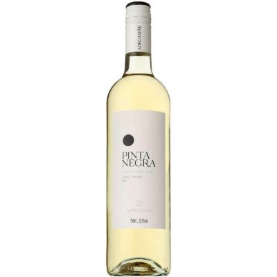 アデガマイン ピンタ ネグラ ブランコ （スクリュー） [2024]