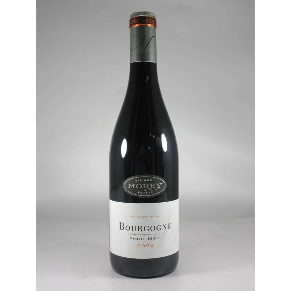 ヴァンサン エ ソフィー モレ ブルゴーニュ ピノ ノワール [2022]