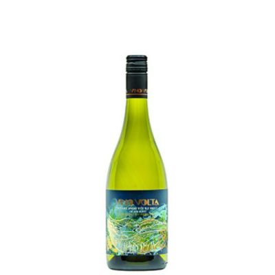 ヴィノ ヴォルタ ナッシング ロング ウィズ オールド スクール シュナン ブラン [2023]