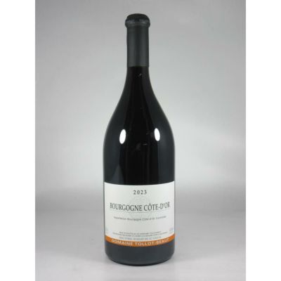 トロ ボー ブルゴーニュ コート ドール  ルージュ [2023]