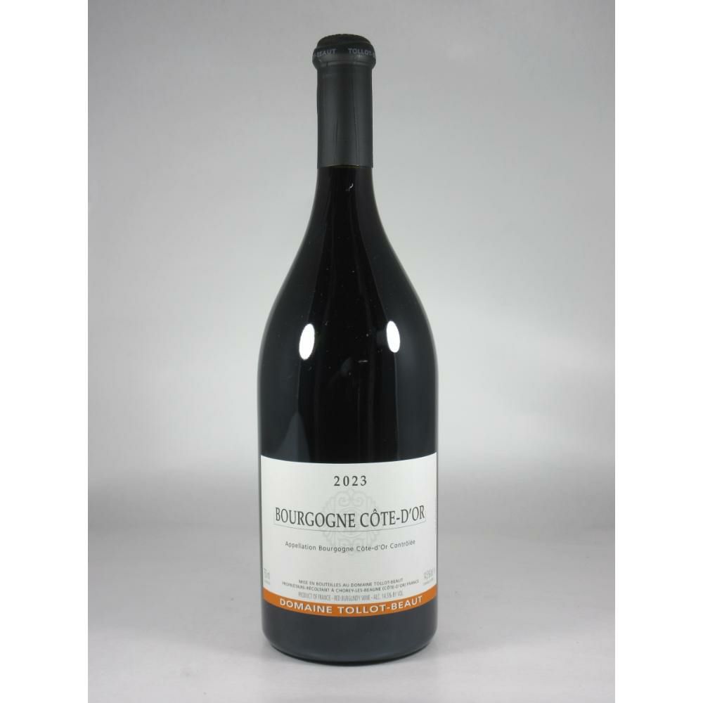 トロ ボー ブルゴーニュ コート ドール  ルージュ [2023]