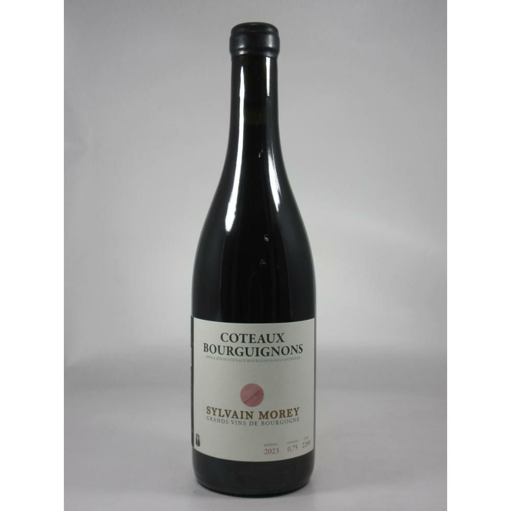 シルヴァン モレ コトー ブルギニョン ルージュ [2023]